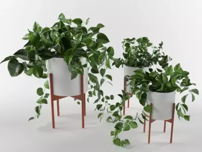 plants-02 potted plant 3D model