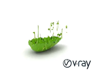 Fresh Watercress Leaf Textures model pack Low-poly 3D model