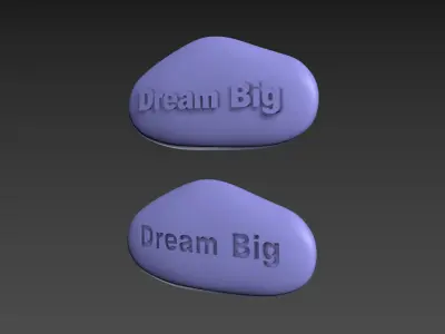 Stone Dream Big 3D print model