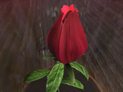 The Rose 3D model