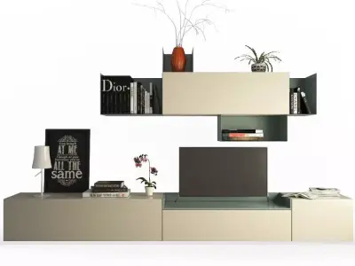 Contemporary TV Furniture 3D model