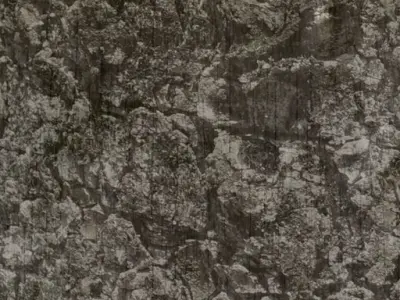 table dining and chairs 3D model