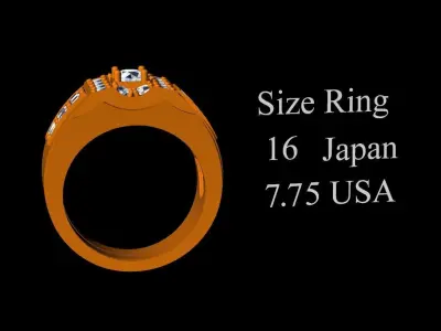 Ring Men D28 3D print model