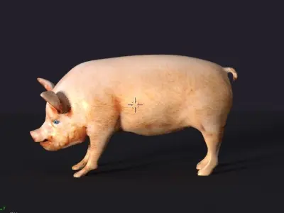 pig lowpoly Low-poly 3D model