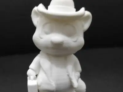 Raccoon Coat 3D print model