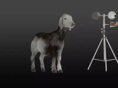 Realistic Rigged Goat  Fur PBR Textured 3D Model Animation Film Low-poly 3D model