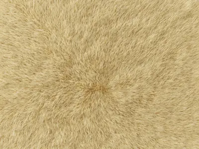 Round rug yellow 3D model