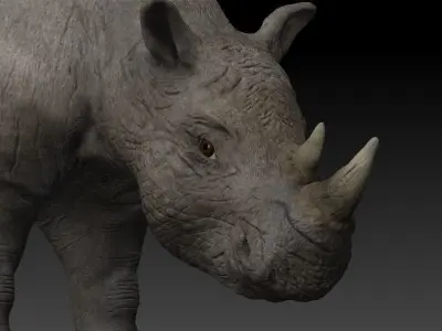 Rigged Rhino Low-poly 3D model