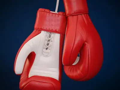 Boxing Gloves 3D model