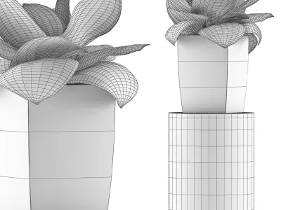 Plants Collection 96 3D model