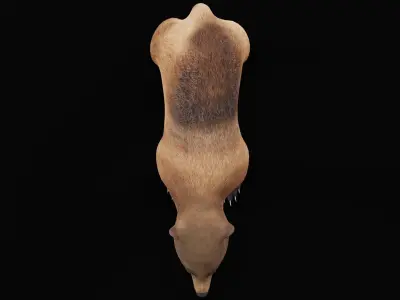 Young Brown Bear Low-poly 3D model