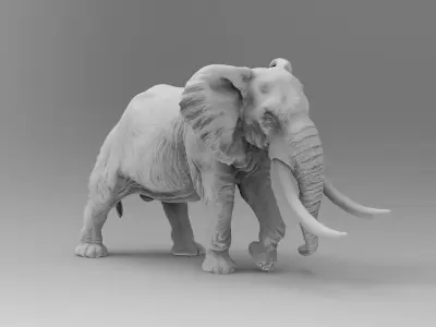 elephant 3D model