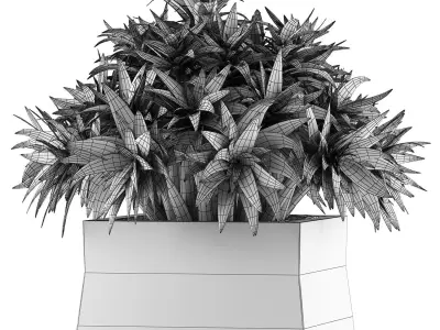 Plants Collection 51 3D model