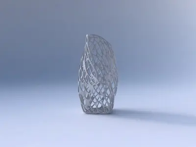 Vase twisted arc quadratic with twisted organic lattice 3D print model