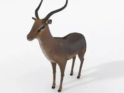 Impala antelope Low-poly 3D model