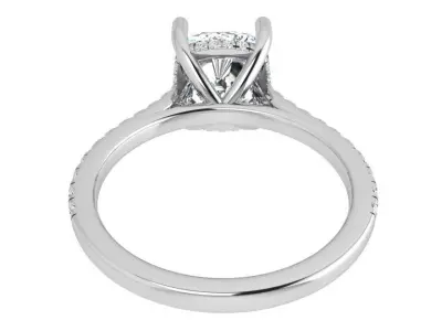 Cushion Ring 3925 3D print model