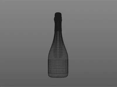 Wine bottle with coal 3D model