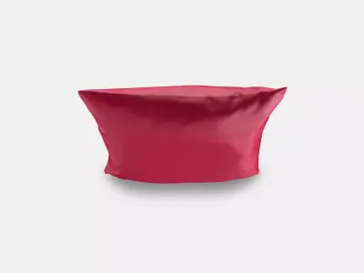 SANELA Cushion cover 6 Low-poly 3D model