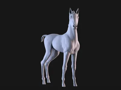 Horse Foal 3D print model