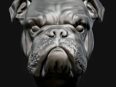 3D English Bulldog head 3D model