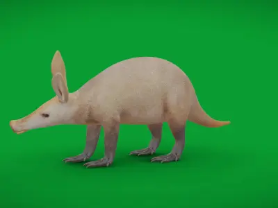 Aardvarks Low-poly 3D model