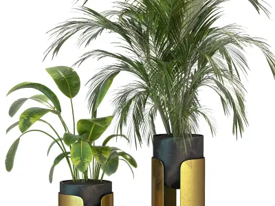 Plant Set 12 3D model