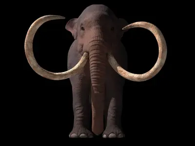 Columbian Mammoth - Mammuthus Columbi 3D model