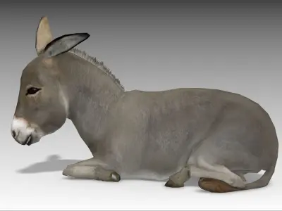 Donkey Low-poly 3D model