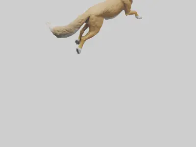 Coyote running model 3D model