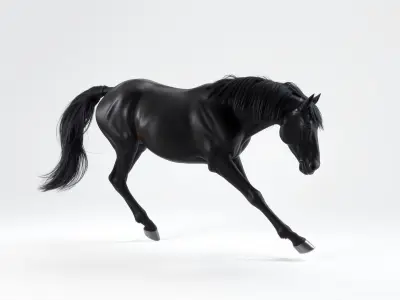 Majestic Black Friesian Horse in Motion Low-poly 3D model
