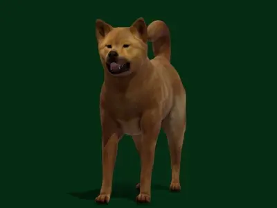 Ainu Dog Breed 3D model