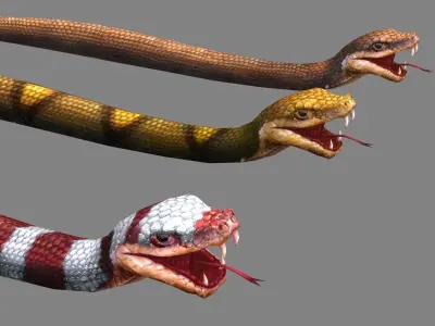Three venomous snakes Low-poly 3D model