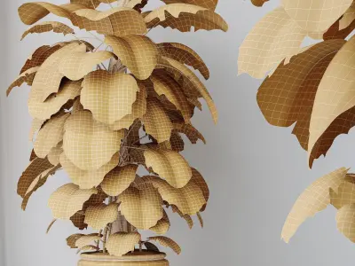 Elegant Monstera Deliciosa Large Leaf Form Swiss Cheese 3D model