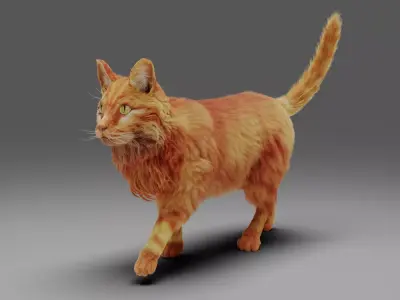 Fur Cat Yellow V3 Rigged  Low-poly 3D model