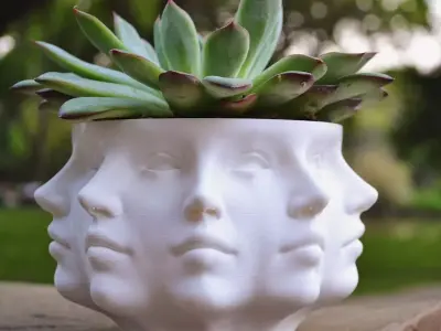 Face pot  3D print model