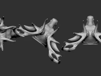 Deer Head 3D print model