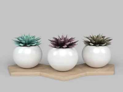 Potted Plant Decoration 3D model