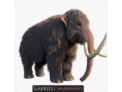 Woolly Mammoth - Mammuthus primigenius 3D model