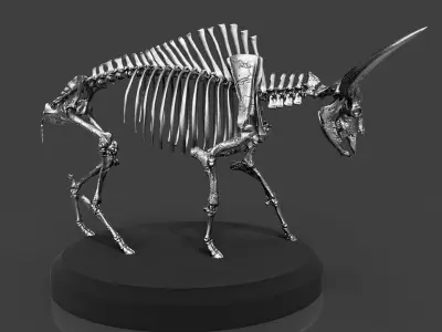 Silver Bison Latifrons Skeleton 3D model