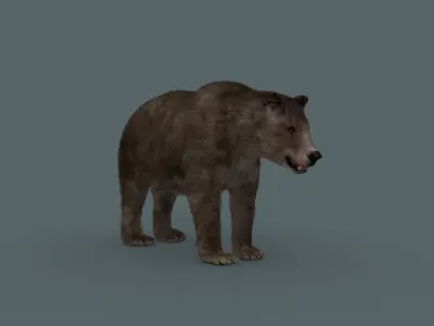 Cave Bear - 3D animated 3D model