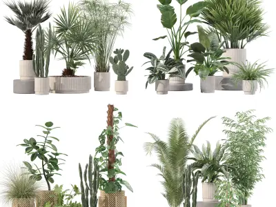 20 Photorealistic Flowers for Interiors - set 203 205 207 218 3D Model Collection