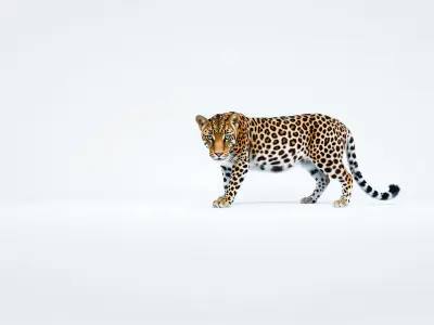 Realistic Leopard 3D Model with High-Quality Texture Low-poly 3D model
