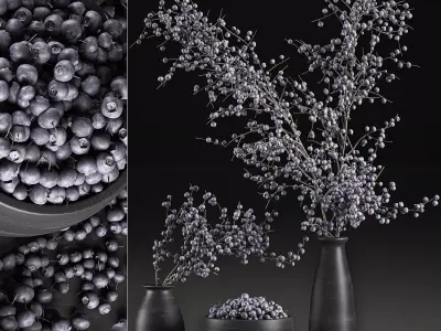 Decorative bouquet blueberry tree in Pots for the interior 547 3D model