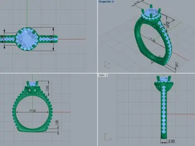 ring code  488 3D print model