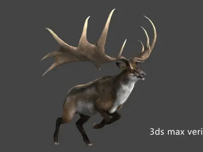 megaloceros elk deer moose Low-poly 3D model