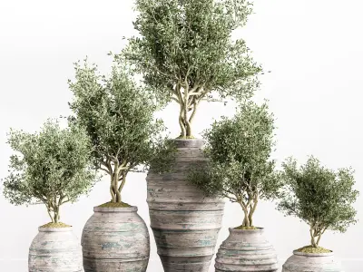 indoor plant stant 45 Low-poly 3D model