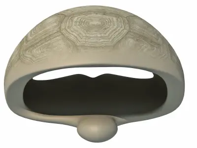 Tortoise Shell Skeleton Low-poly 3D model