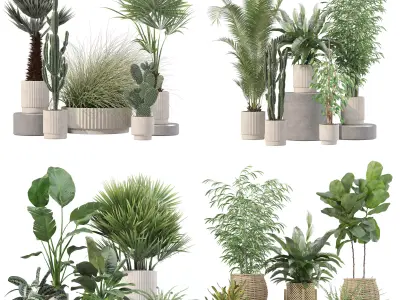 20 Photorealistic Flowers for Interiors - set 205 207 214 216 3D Model Collection