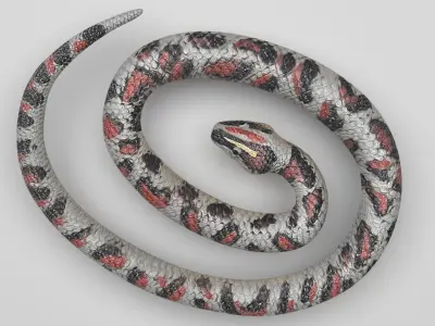 Rubber Snake 3D model