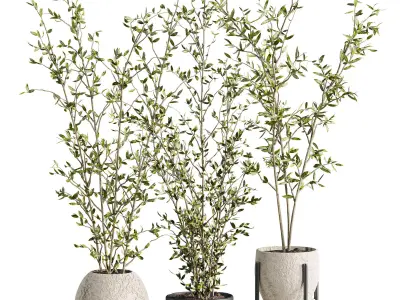 Plants Set 3D model purchase